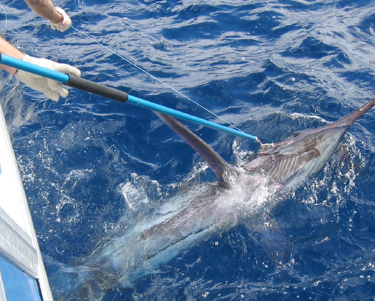 Long-handled dehookers: for turtles that have lightly ingested a hook or are externally hooked (like on a flipper) and cannot be brought on board. Dehookers minimize injury to hooked turtles and saves you time rerigging your gear. (ARC)