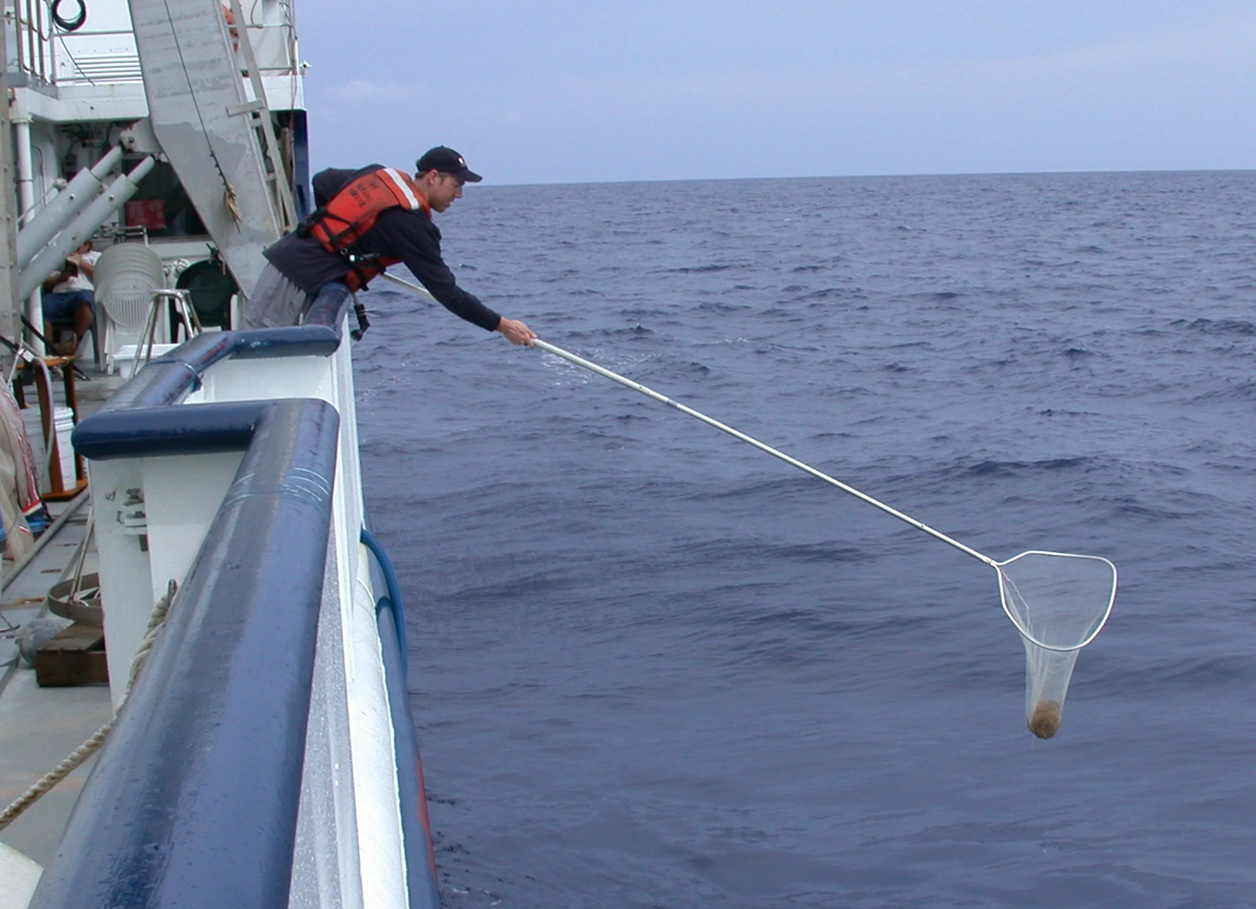 Dip nets: use to bring smaller turtles on board. (D. Byron White, SCDNR, NOAA)