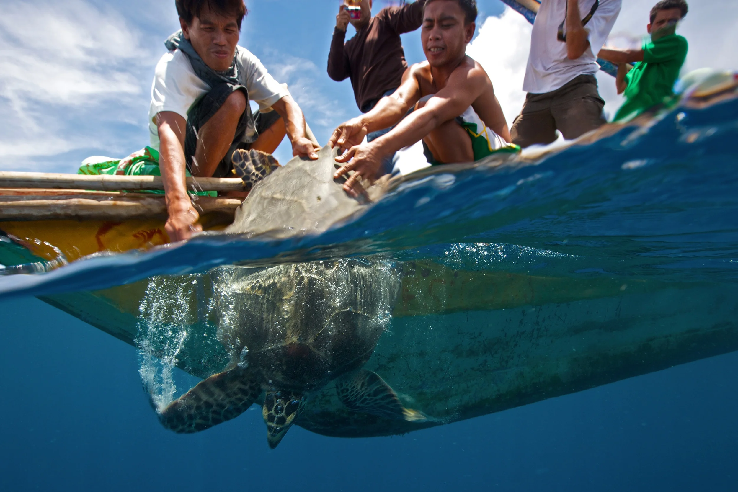 Turtle release in Alcantara, Cebu, Philippines (Photo: Steve De Neef)
