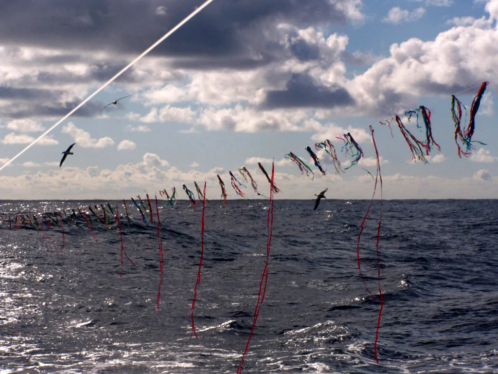 Bird scaring lines (Photo: Sebastian Jimenez, Albatross Task Force, Uruguay)