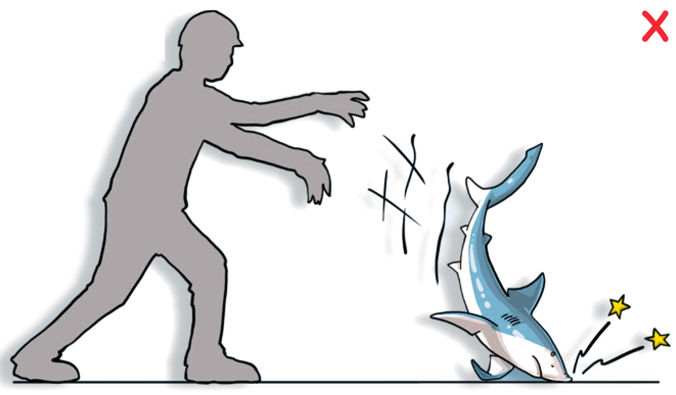 DO NOT throw, hit or squeeze the animal. Prevent the animal from battering itself against the deck or other hard objects. (Poisson et al, 2012)