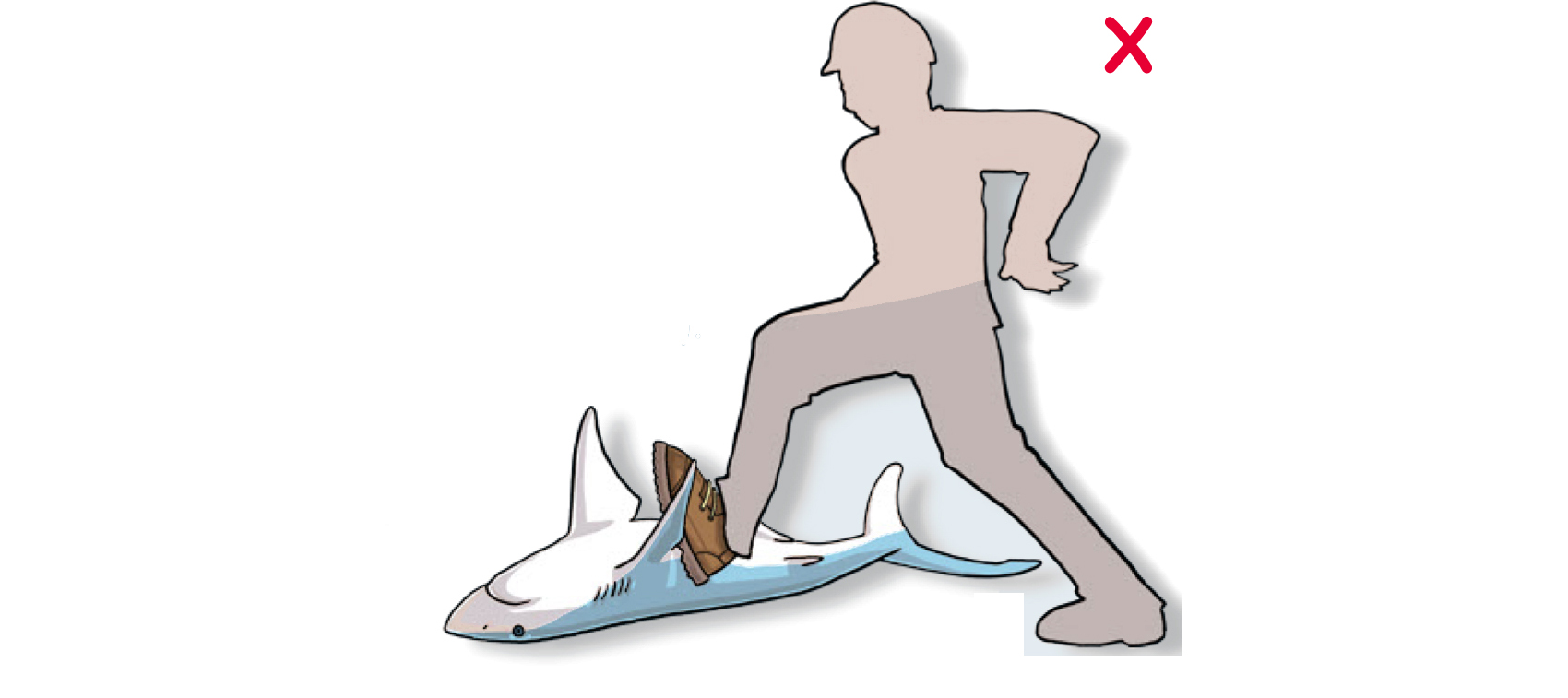 DO NOT yank or push the animal sharply (Poisson et al, 2012)