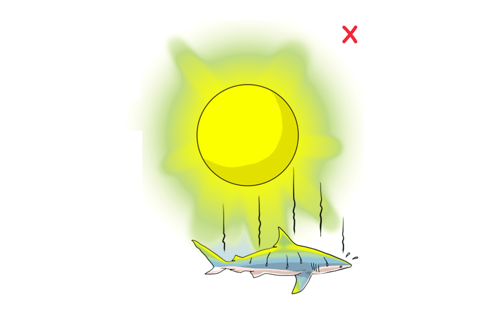 DO NOT leave the animal in the sun. If possible, handle the animal in the shade or otherwise reduce its exposure to the sun. (Poisson et al, 2012)
