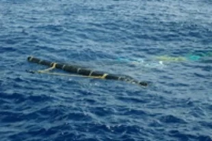 Example: Narrow “log style” surface, supplanting traditional raft FAD, discourages turtles from climbing