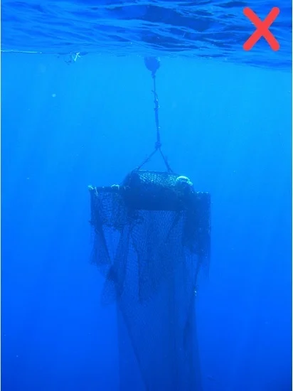 Don’t use underwater panels of loose, large-mesh netting; they pose an entanglement hazard.
