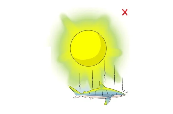 DO NOT leave the animal in the sun. If possible, handle the animal in the shade or otherwise reduce its exposure to the sun. (Poisson et al, 2012)
