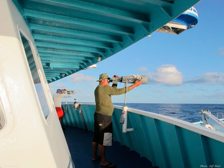 Looking for fish (Photo: Jeff Muir)