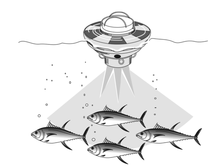 Sonar buoys can detect the quantity of fish present and transmit that information to the vessel. (Photo: SPC)