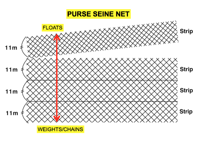 The purse seine net is made up of strips of net. By adding more strips, the net becomes deeper. Similarly, by removing strips, the net can be made shallower. Chains and/or weights are added to the bottom of the net to allow it to sink. Floats are used at the top of net. (Photo: SPC)