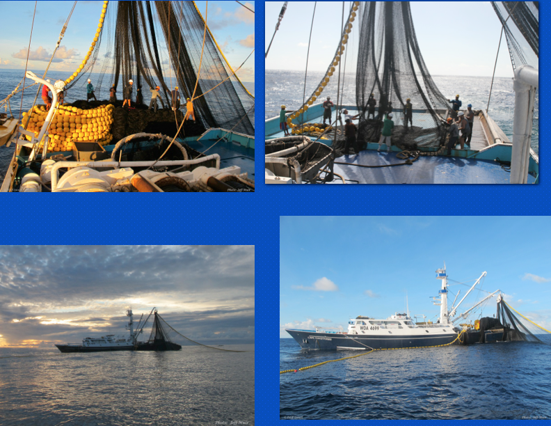 Page 8 - Gallery 2.5: Purse Seine Fishing Stages — ISSF Guidebooks