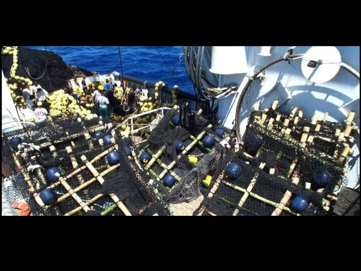 Construction of traditional FADs on deck using bamboo, floats, and purse seine netting