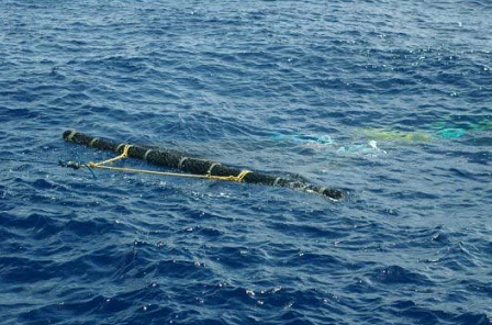 A narrow “log style” surface instead of a traditional wide-raft FAD discourages turtles from climbing. (Photo: ISSF)
