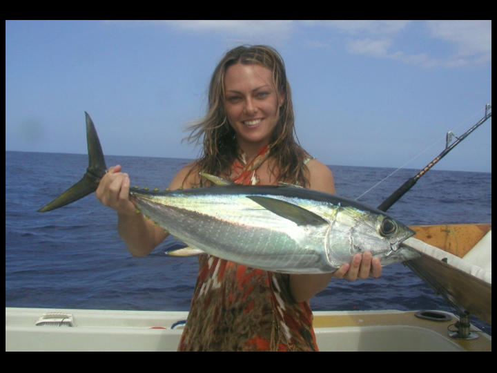 Yellowfin Tuna (Photo: David Itano)