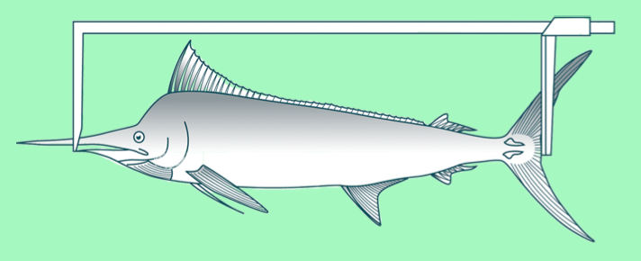 LF (lower jaw to fork in tail): for billfish (Photo: SPC)