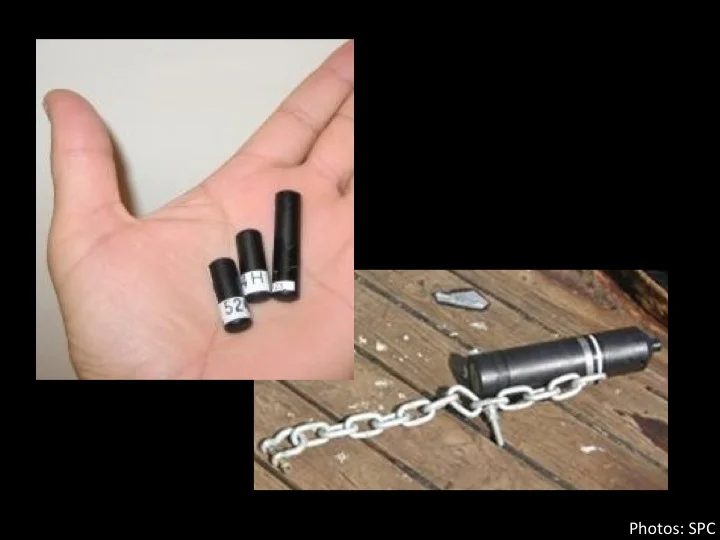 Example of sonic tags (left) and of a sonic receiver on a FAD (right). Sonic tags are miniature radio transmitting devices that are surgically implanted inside the tuna. Since sonic tags are not visible externally, a conventional tag of a certain color will be visible on the outside of the fish. (Photo: SPC)