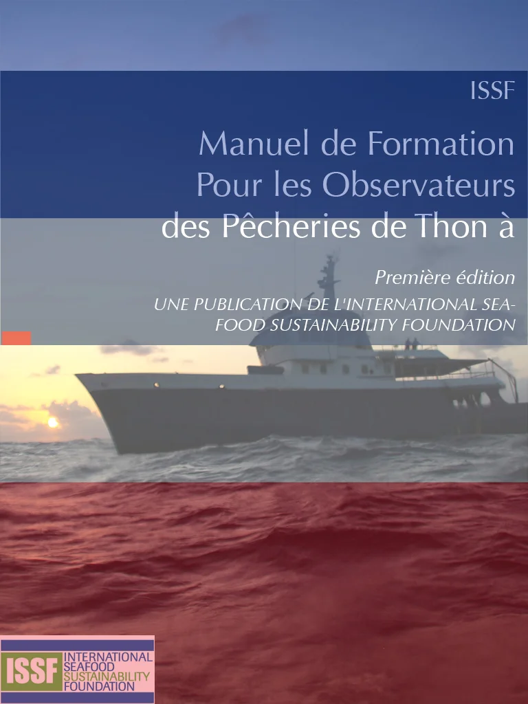 Observer PS French Store Cover.jpg