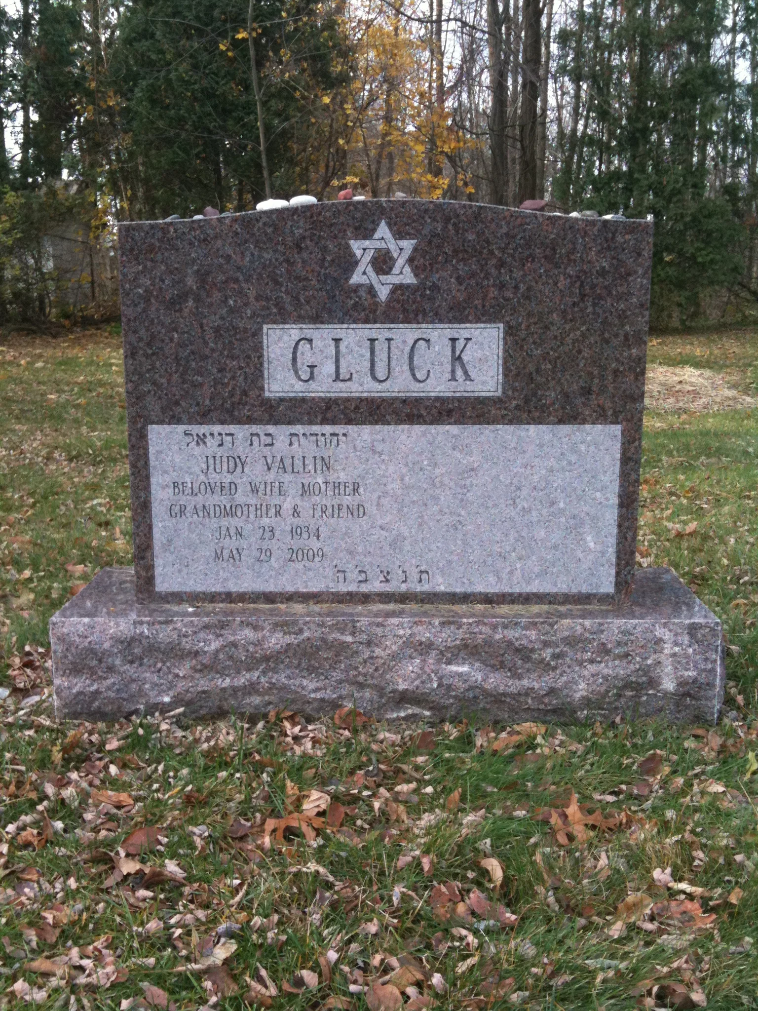 Gluck.JPG