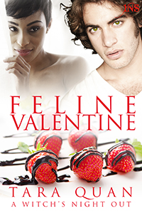 1NIGHT STAND INTERRACIAL/MULTICULTURAL ON Valentine's Day, A sweet tooth witch lands a shifter chef in this foodie Paranormal Romance. Learn More.