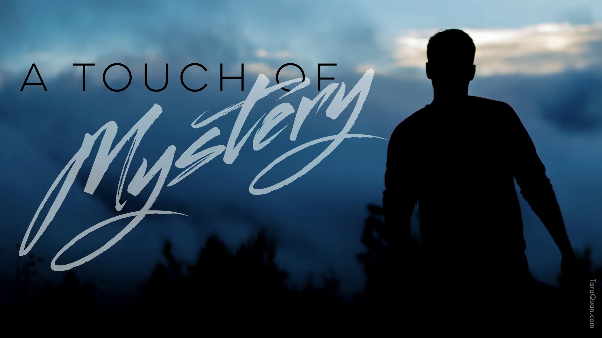 #WriteTip - Respect the Reader's Imagination by Rosanna Leo (@LeoRosanna), spotlighting her @LSB_lsbooks #PNR