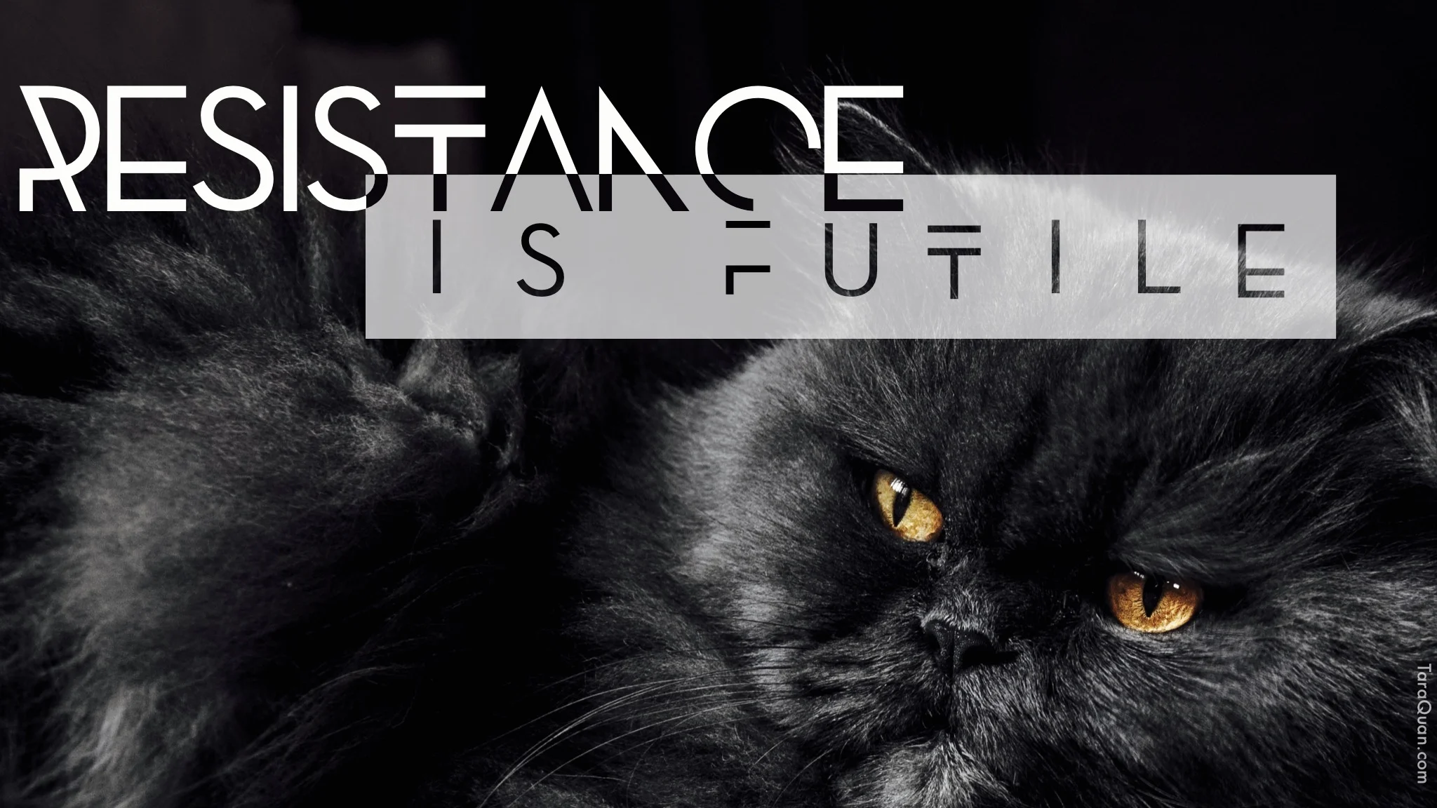 #WriteTip - When a Story Won't Leave You Alone by @JSubject, spotlighting her #NAlit #IRMC #scifirom (w/ #zombies!)