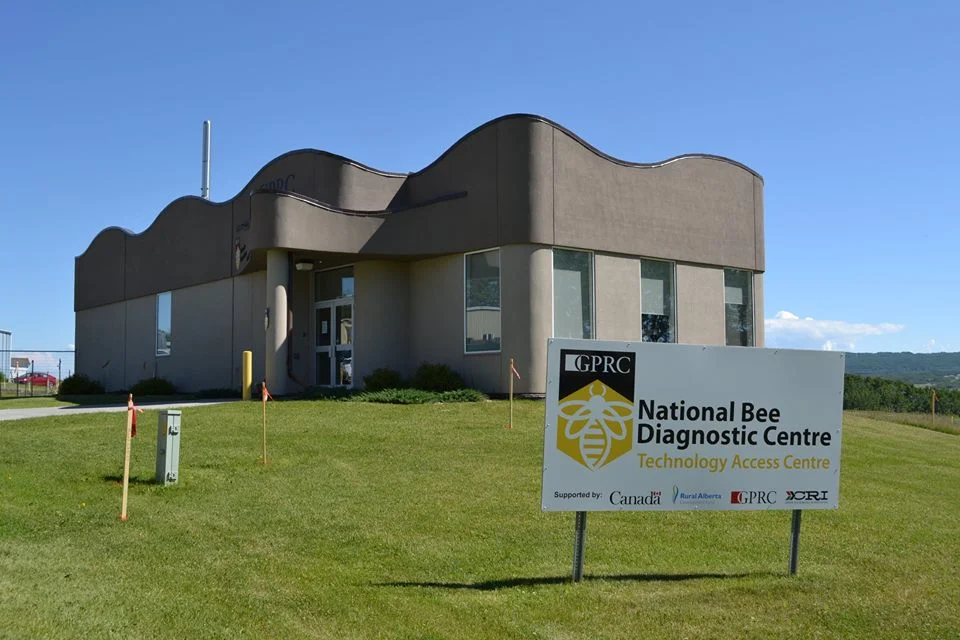 National-Bee-Diagnostic-Centre-2.jpg