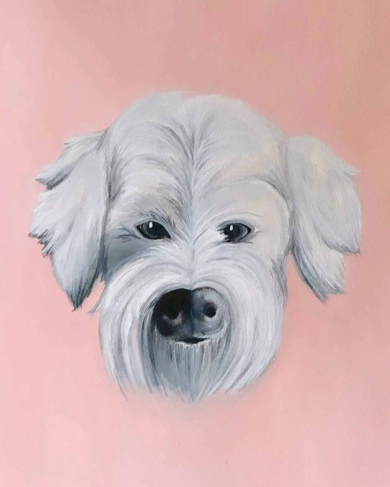 Remembering my sweet Sal this weekend. ♡

#petportrait #wheatenterrier #portrait #illustragram #dogportrait