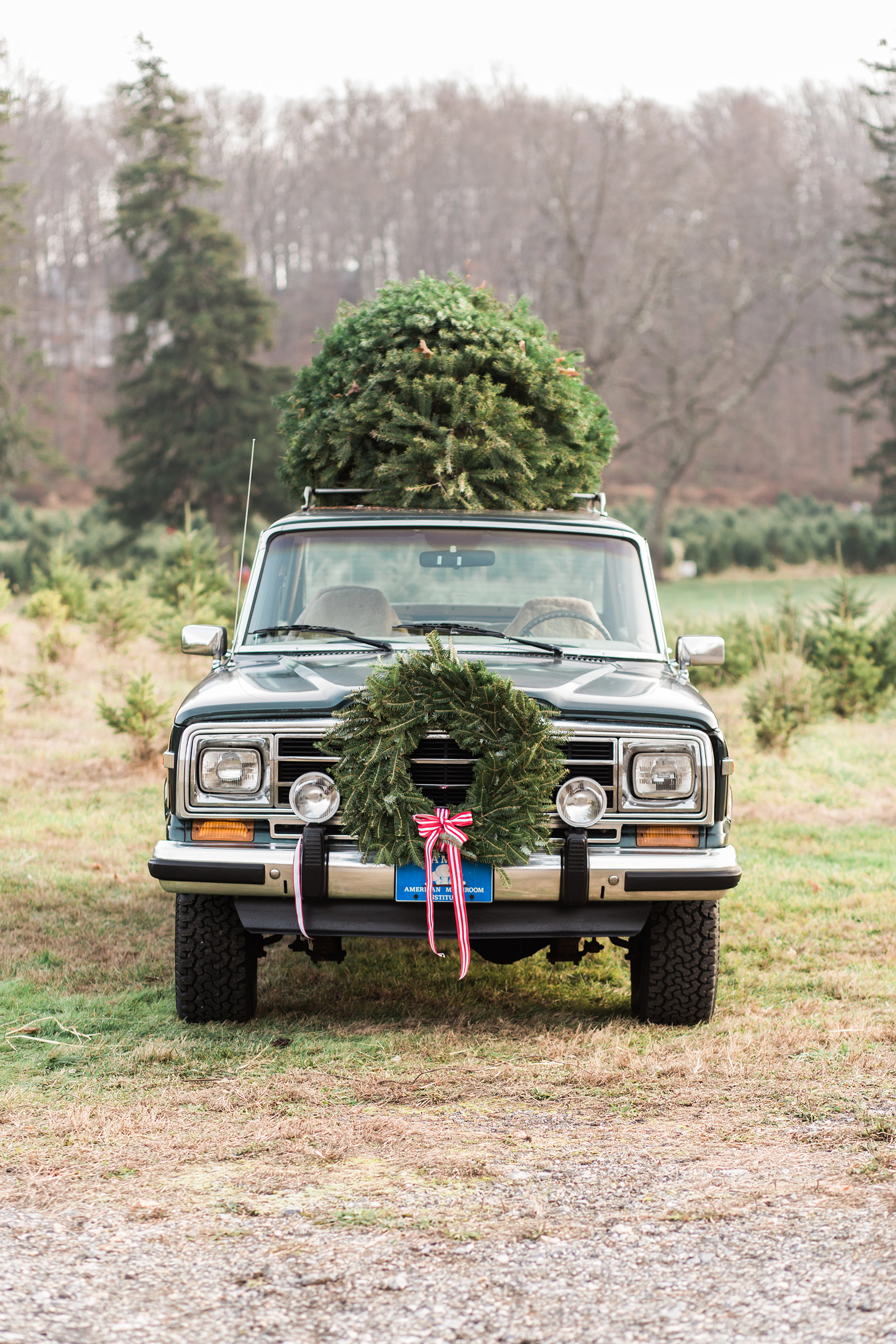 Hudson-Nichols-Christmas-Tree-Farm-Wagoneer-Engagement066.jpg