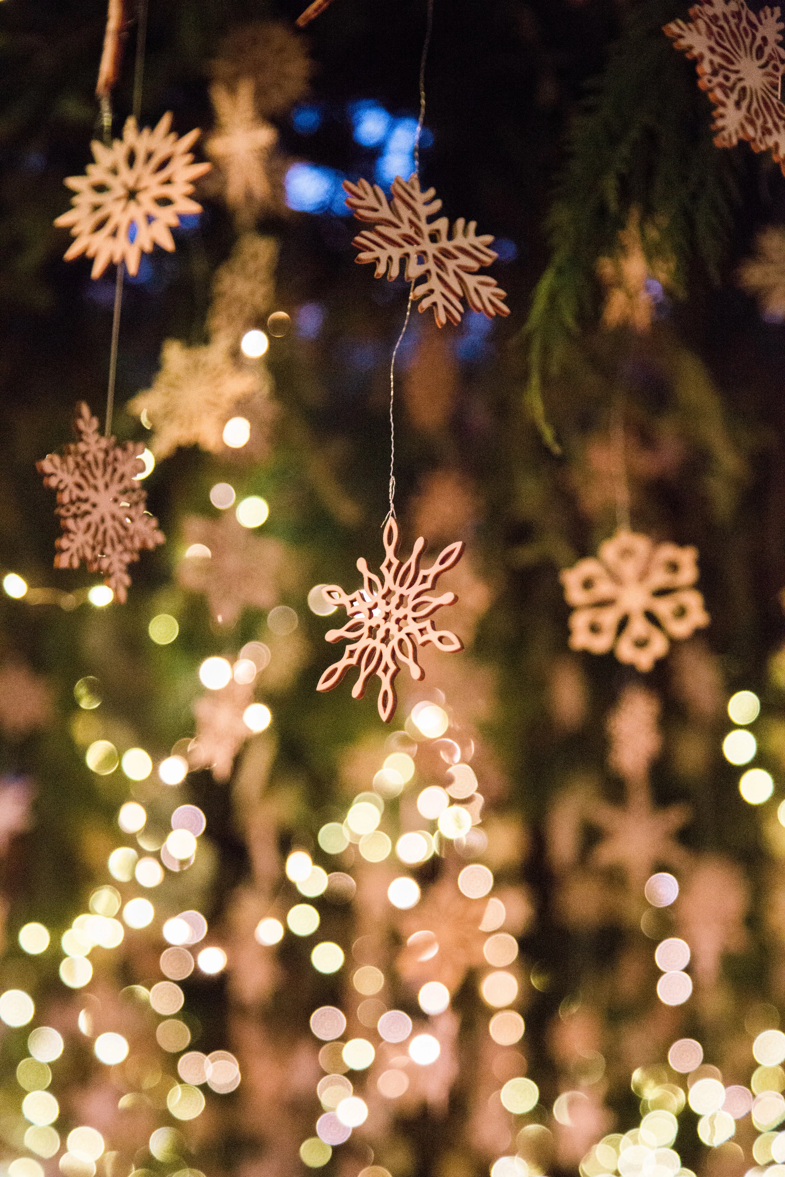Hudson-Nichols-Martha-Stewart-Weddings-Winter-Ski-Philadelphia-Claire-Conner_250.jpg