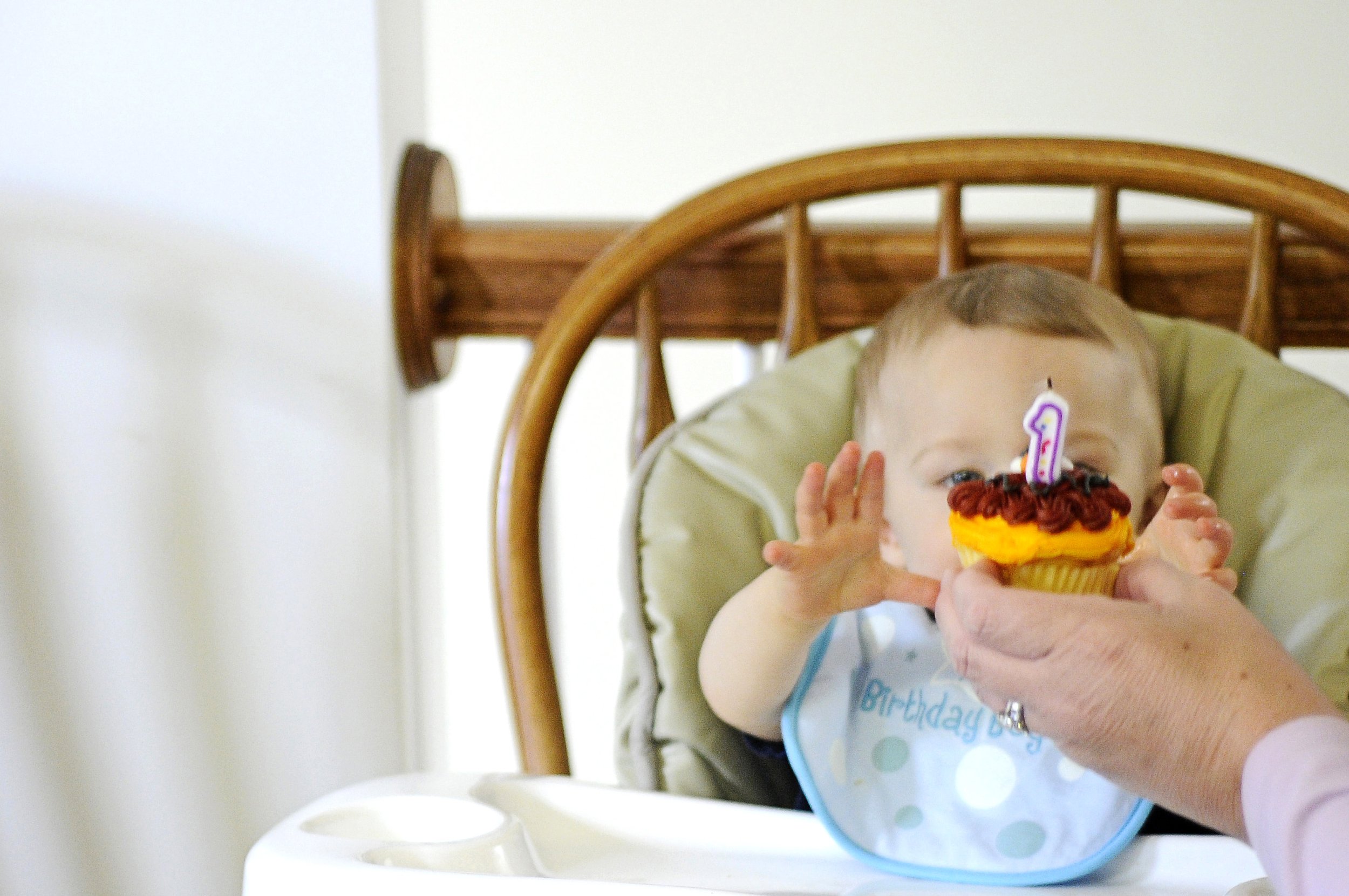 Maryland-Baby-First-Birthday-Cupcake-Portrait-Photographer-01.JPG