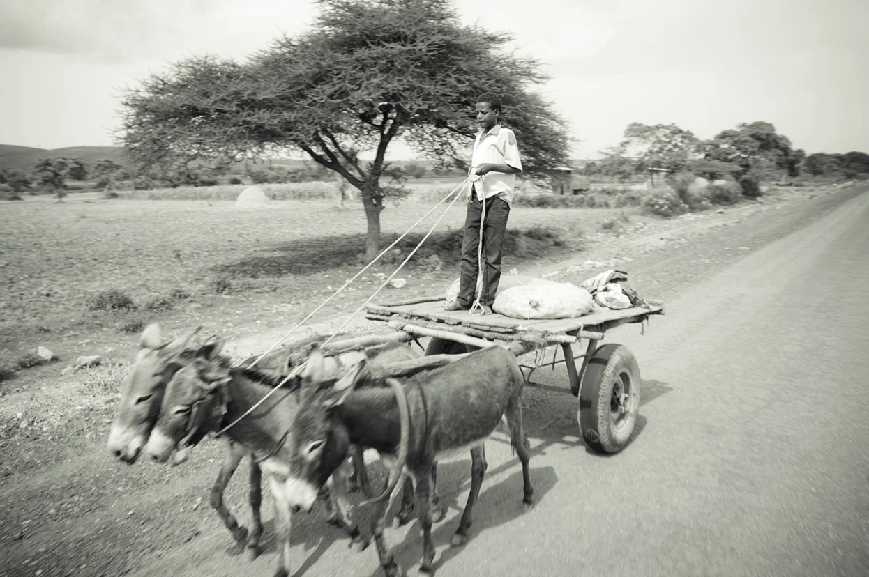 donkeykart.jpg