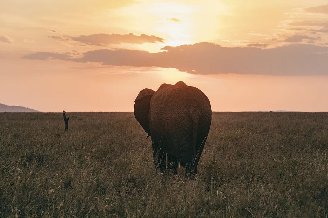 KyleLaMere_Tanzania_Zanzibar-6643.jpg
