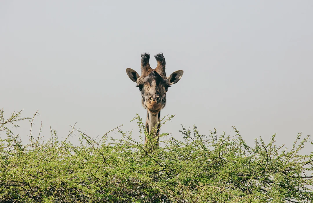 KyleLaMere_Tanzania_Zanzibar-7047.jpg