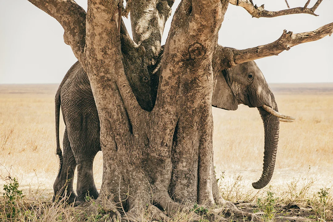 KyleLaMere_Tanzania_Zanzibar-7324.jpg