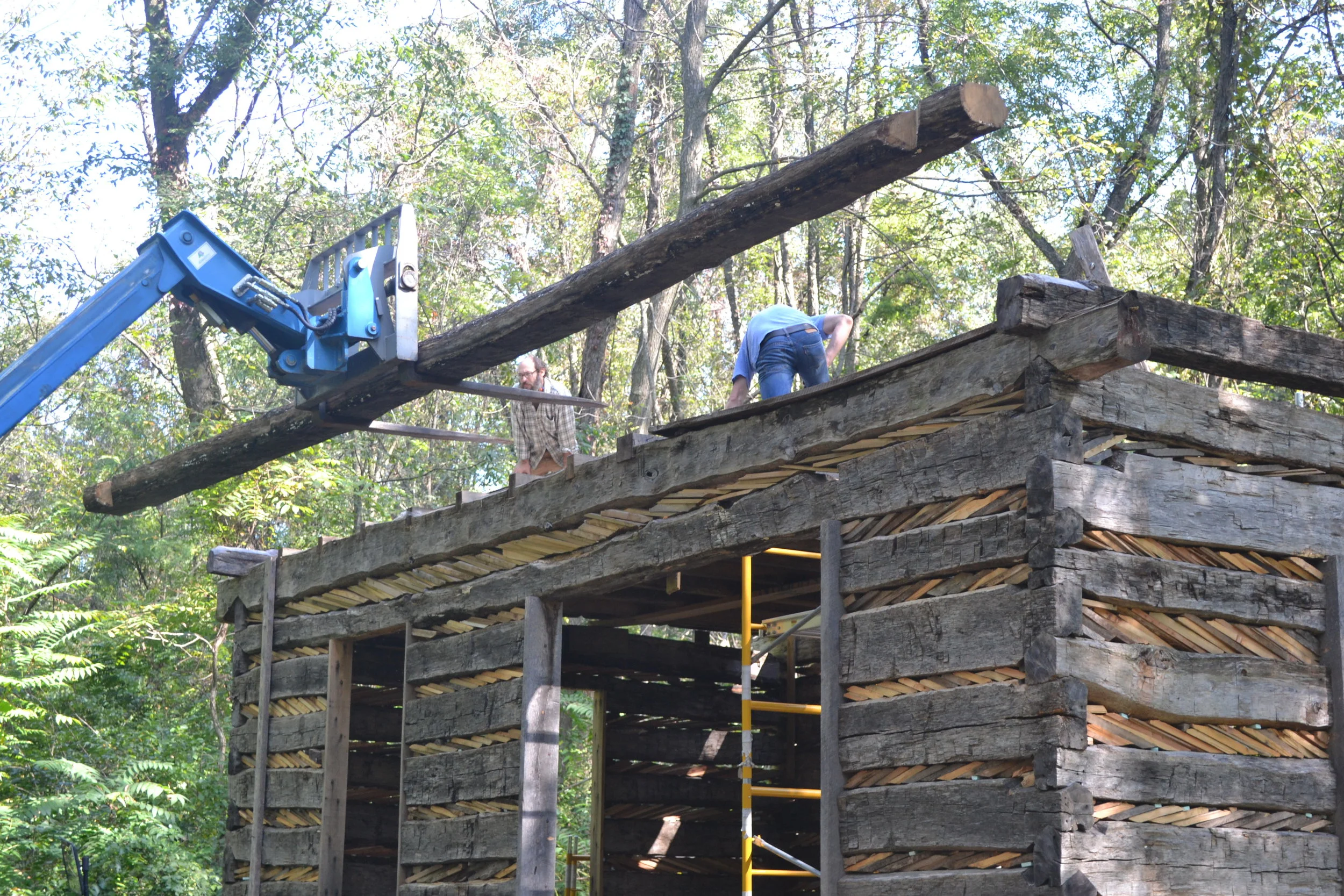 Mechanical Advantage