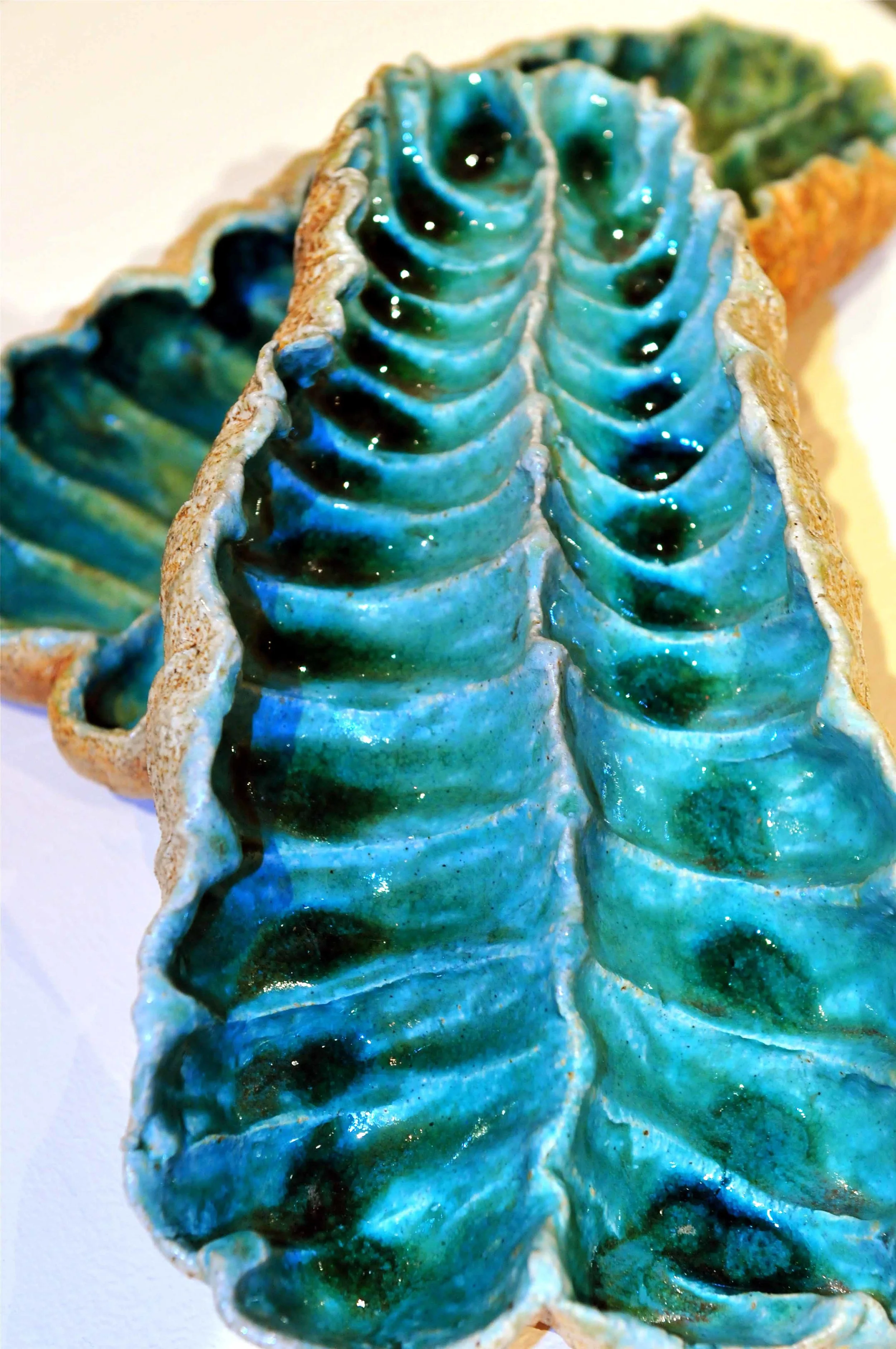 Interior of pods resemble a ribcage