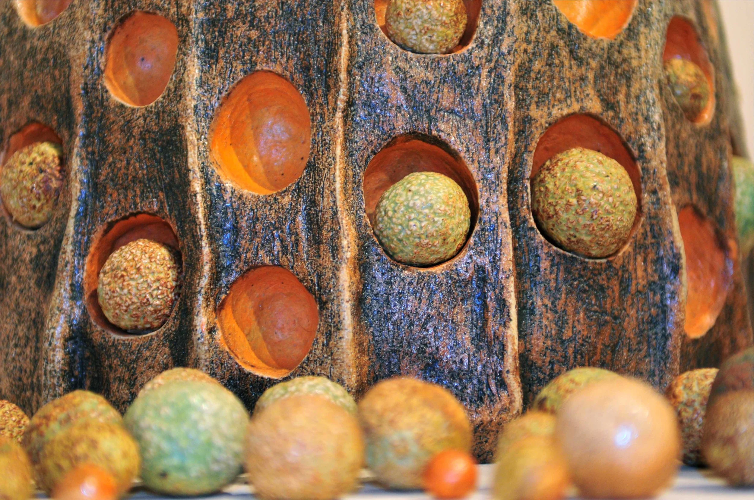 Seed+Pod+Orange+Crop.jpg