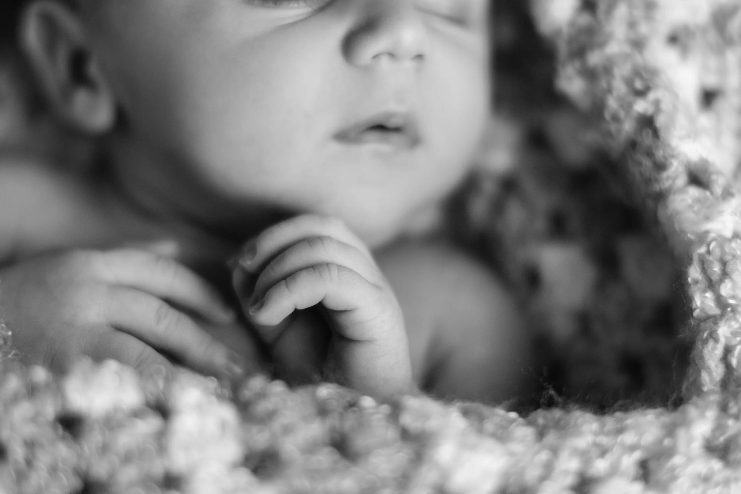 IMG_7481.jpg