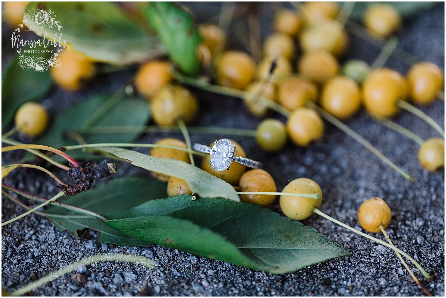 HALEY & CHASE ENGAGED LOOSE PARK & NELSON ATKINS | FALL ENGAGEMENT PHOTOS | MARISSA CRIBBS PHOTOGRAPHY_6873.jpg