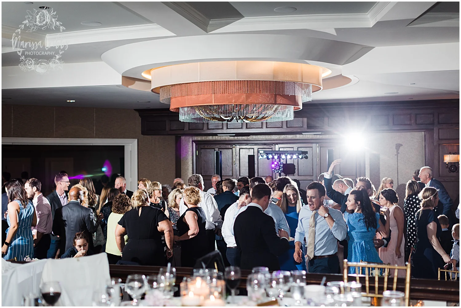 MEGAN & DEREK WEDDING BLOG | MARISSA CRIBBS PHOTOGRAPHY_8233.jpg