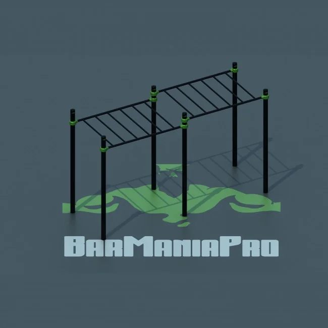 Double monkey bars.jpg