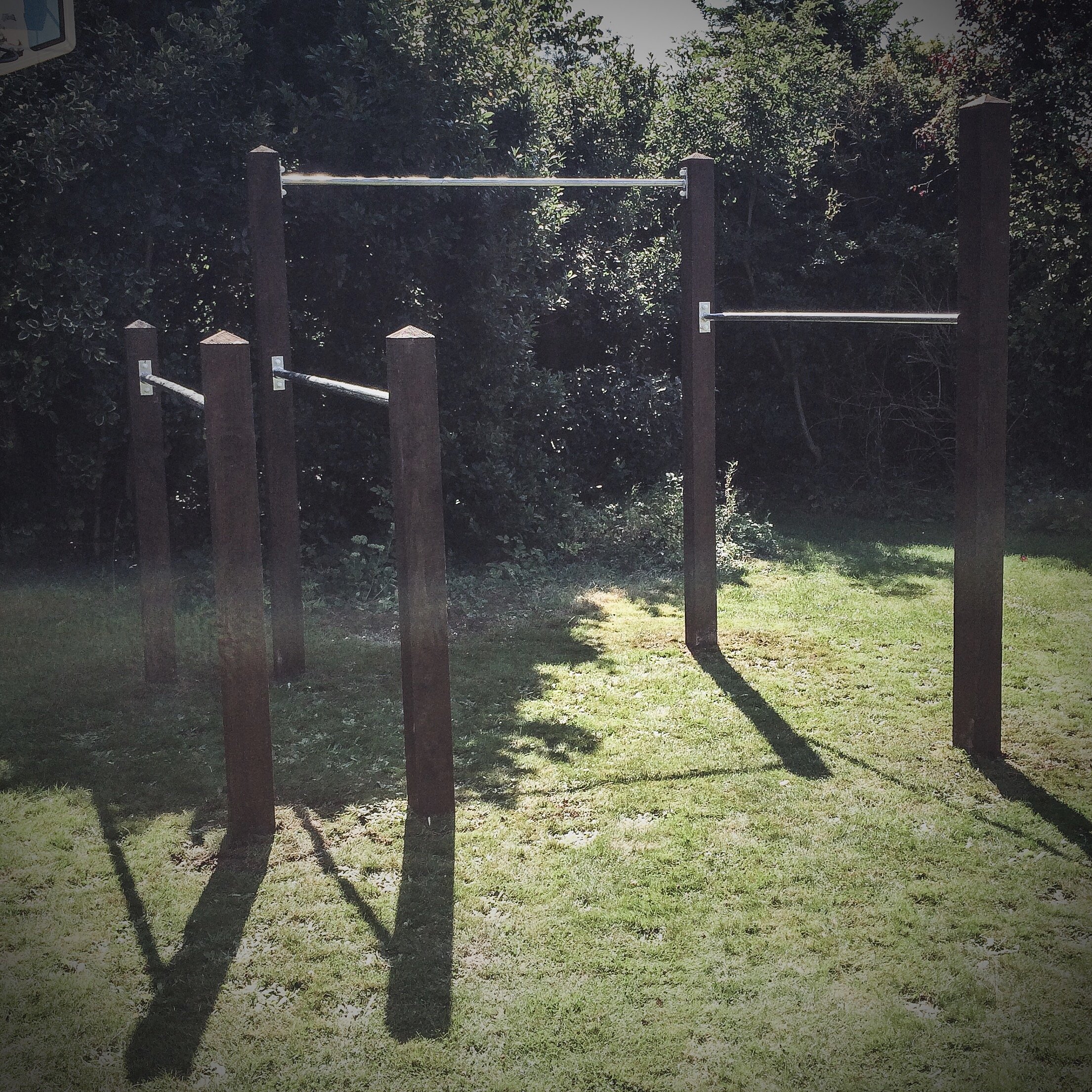 003 2015 garden double pull up bar and dip bars installation.JPG