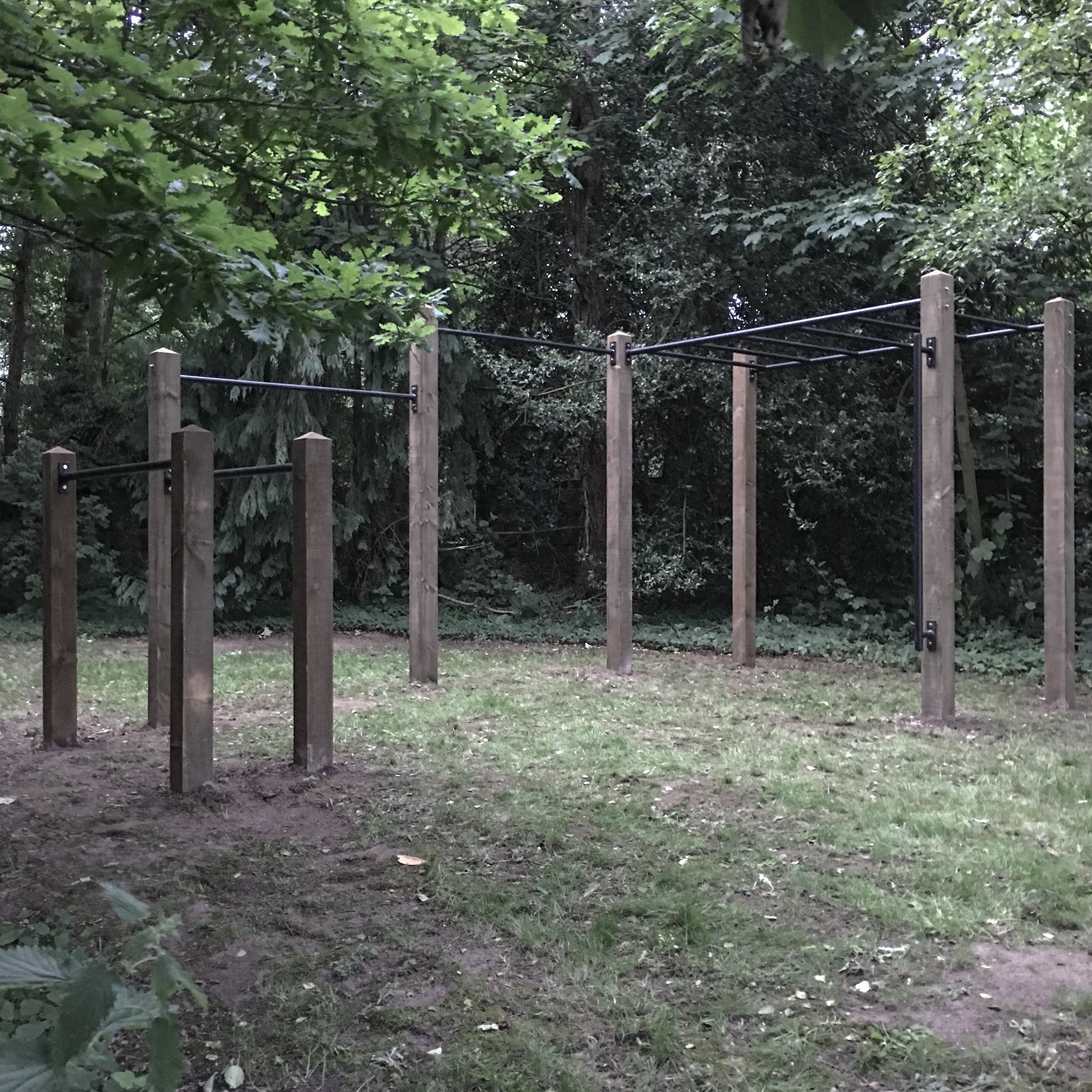 028 2017 garden monkey bars, double pull up bar and dip bars installation.JPG