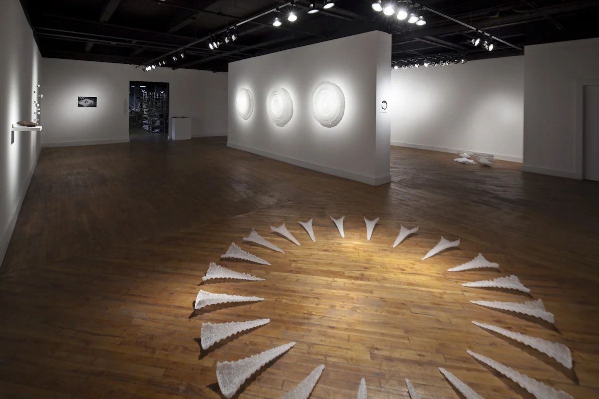 Installation view, Gallery Kunstler, Rochester, NY, 2011
