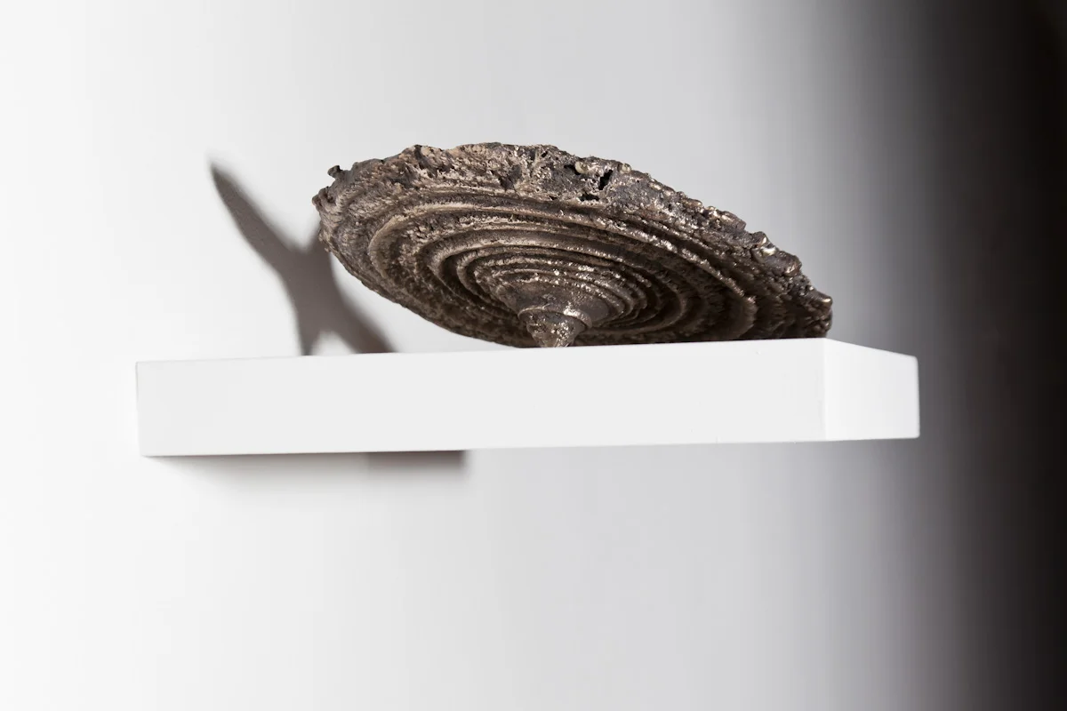 Centremost , cast bronze, 2011