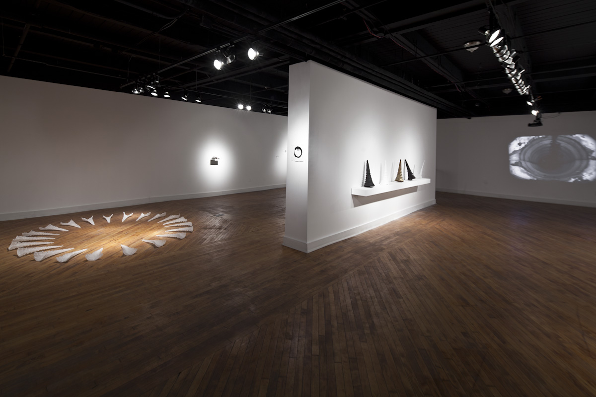   O , installation view, Gallery Kunster, Rochester, NY, 2011 