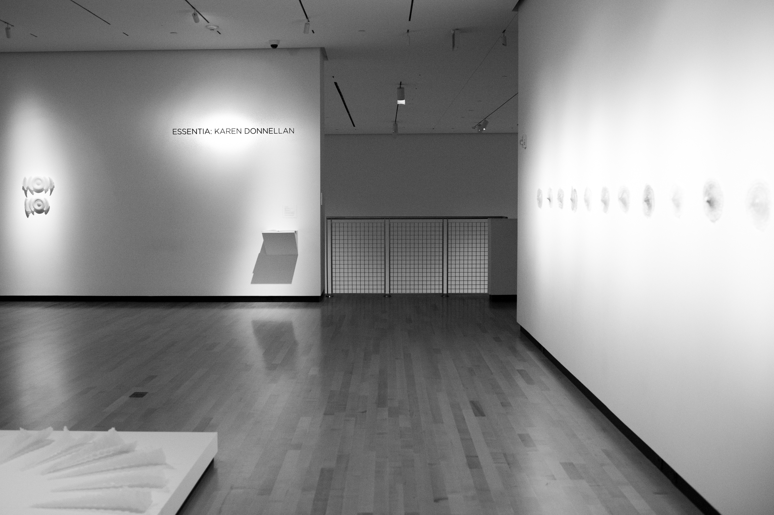  Essentia, Burchfield Penney Art Center, Buffalo, NY Installation view, 2012 