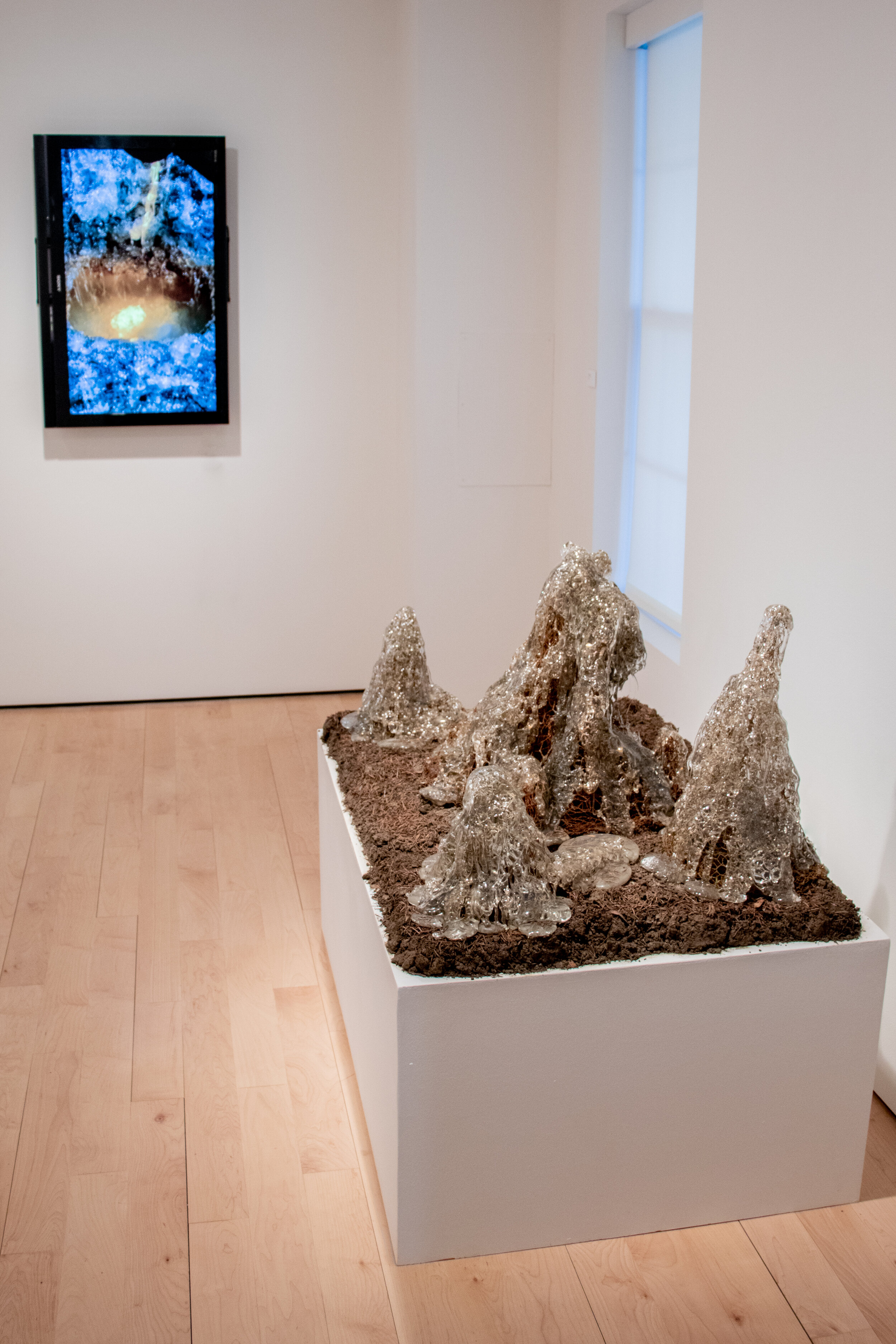  Andrew Erdos’ multi-disciplinary works often combine cast and blown glass, video, photography and installation. Erdos has exhibited internationally at venues including The Toledo Museum of Art; Corning Museum of Glass; National Center for Contempora