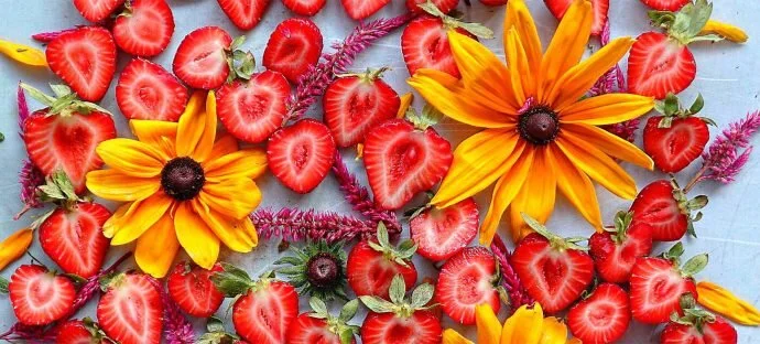 Summer Energize and Thrive