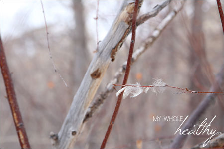 My husband's sudden illness made me feel like these delicate feathers, clinging to a branch.