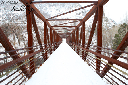Life holds a lot of bridges we have to cross.